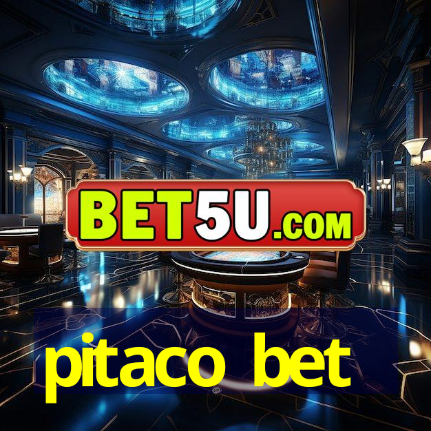 pitaco bet